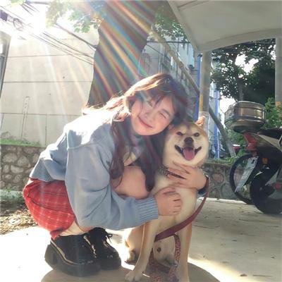 野良与皇女与流浪猫之心